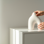 https://cdn.shopify.com/s/files/1/2596/6404/files/jarr-n-colos-being-placed-on-shelf.png?v=1761331509